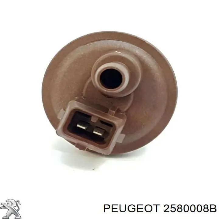 2580008B Peugeot/Citroen 