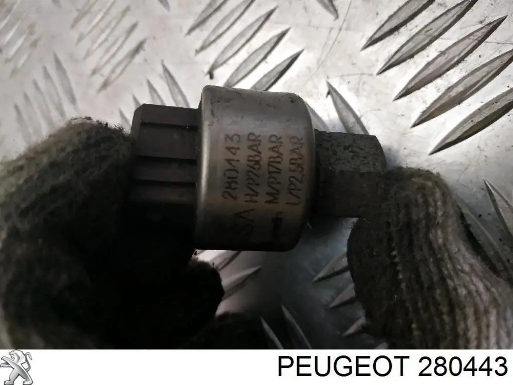 280443 Peugeot/Citroen 