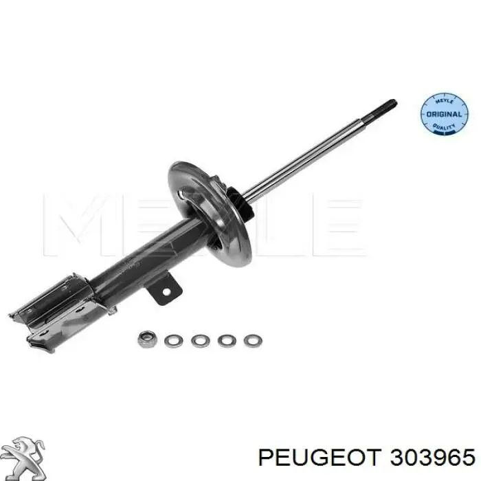 303965 Peugeot/Citroen 