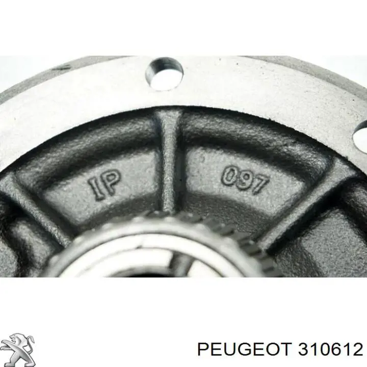  Peugeot/Citroen 310612