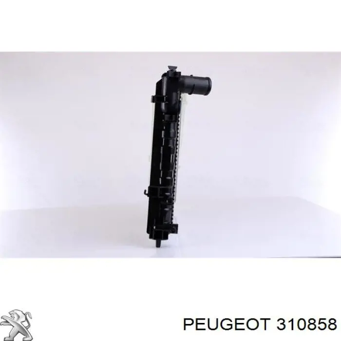 Купити 310858 Peugeot/Citroen 