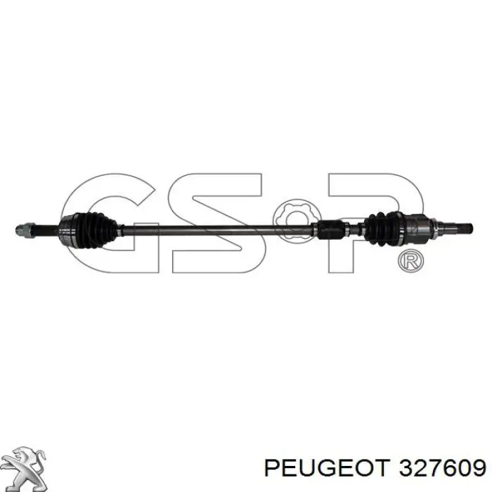  PGT327609 Market (OEM)