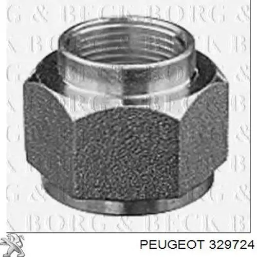Гайка маточини передньої Peugeot/Citroen 329724 ціна, від 4.81 USD