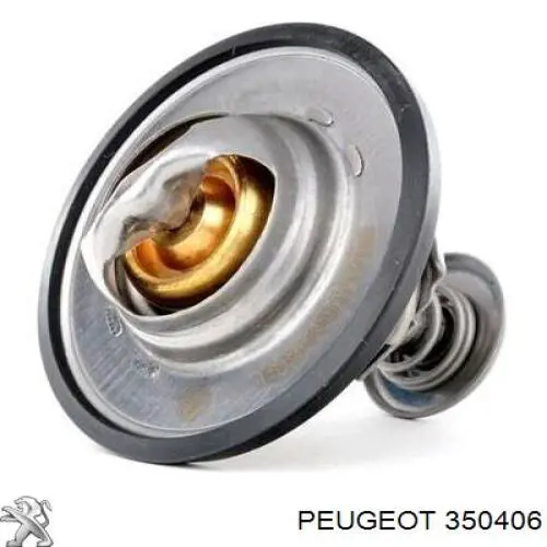 350406 Peugeot/Citroen Сайлентблок балки моста