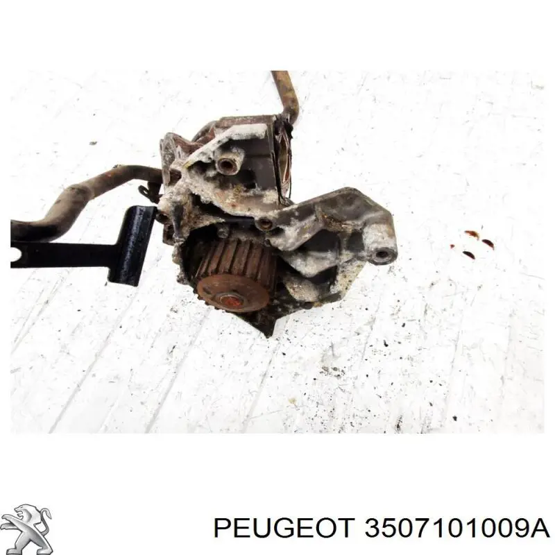 3507101009A Peugeot/Citroen 