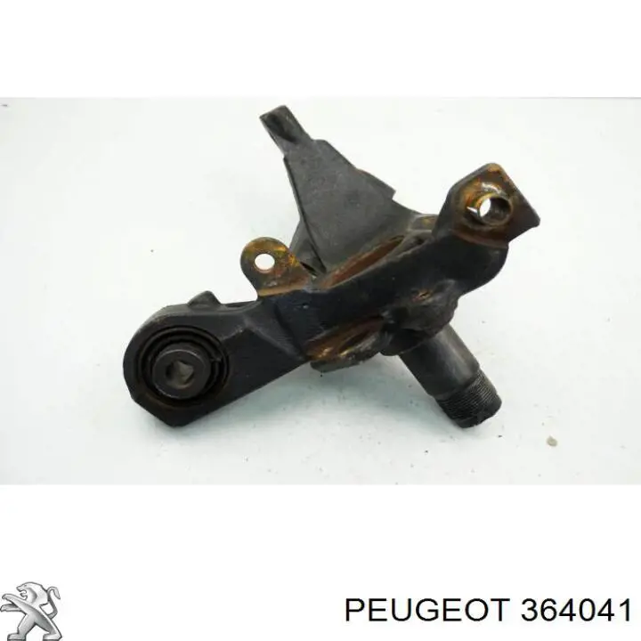 Сайлентблок заднього поперечного важеля, зовнішній Peugeot/Citroen 364041