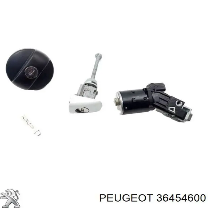 36454600 Peugeot/Citroen 