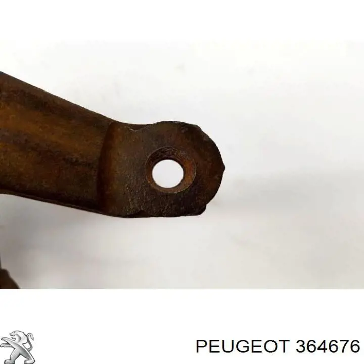 Купити 364676 Peugeot/Citroen Цапфа поворотна ліва