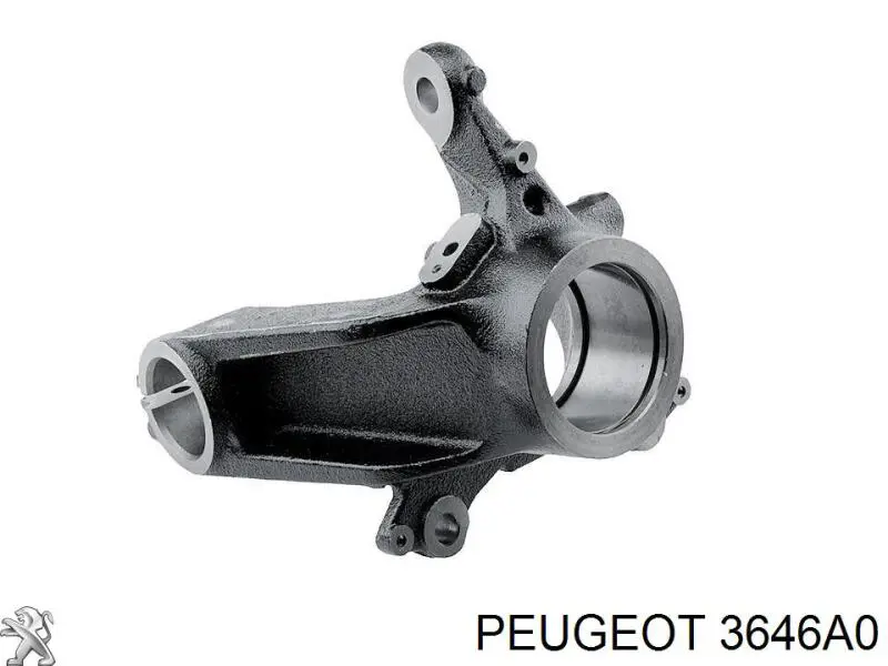 3646A0 Peugeot/Citroen Цапфа поворотна ліва