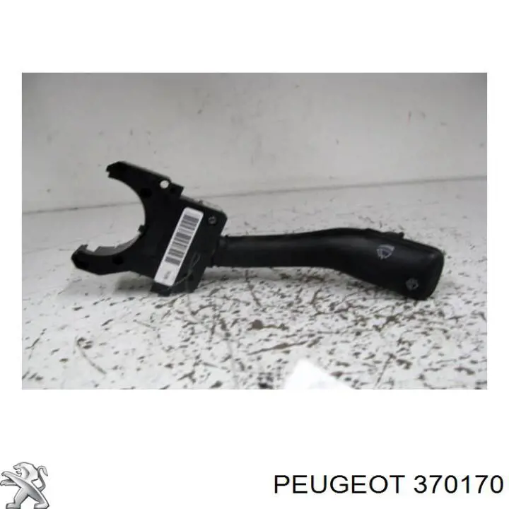 370170 Peugeot/Citroen маточина задня