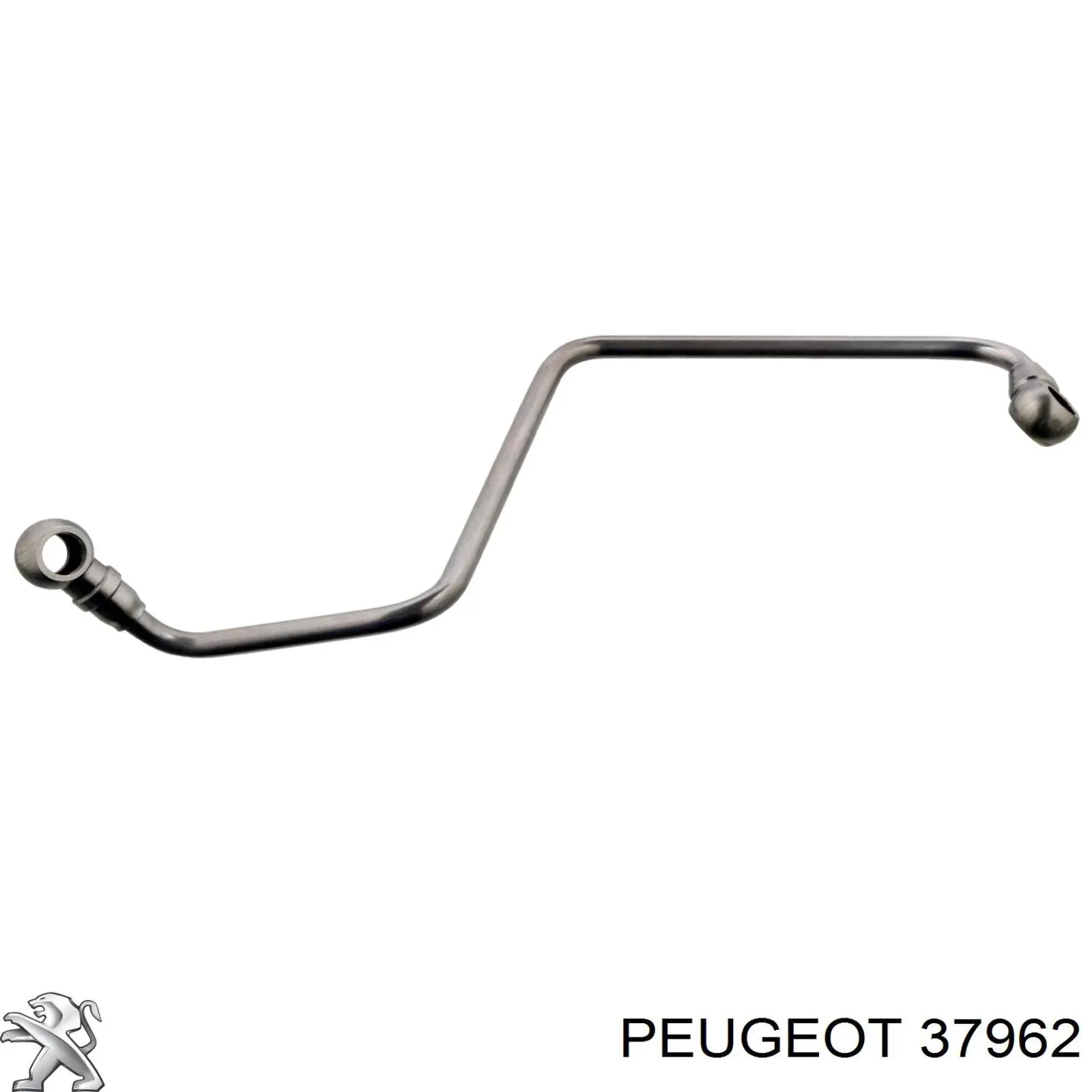 37962 Peugeot/Citroen трубка/шланг подачі масла до турбіни