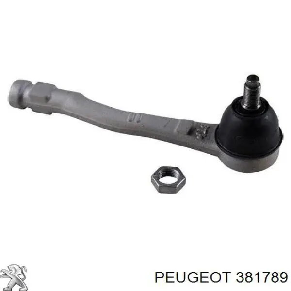 Купити 381789 Peugeot/Citroen Рульовий наконечник