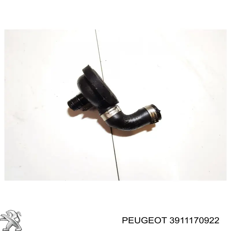 3911170922 Peugeot/Citroen 
