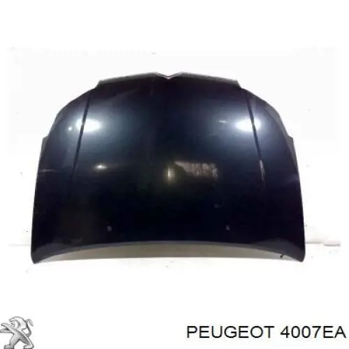 Насос гідропідсилювача керма Peugeot/Citroen 4007EA