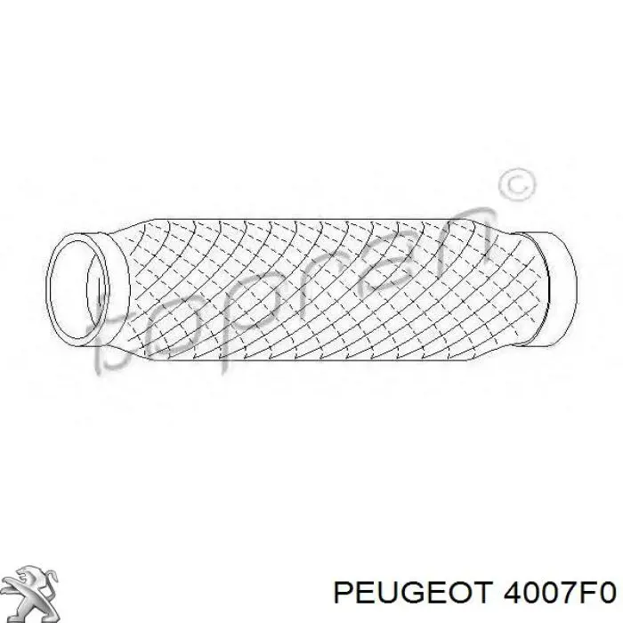 Насос ГУР 4007F0 Peugeot/Citroen