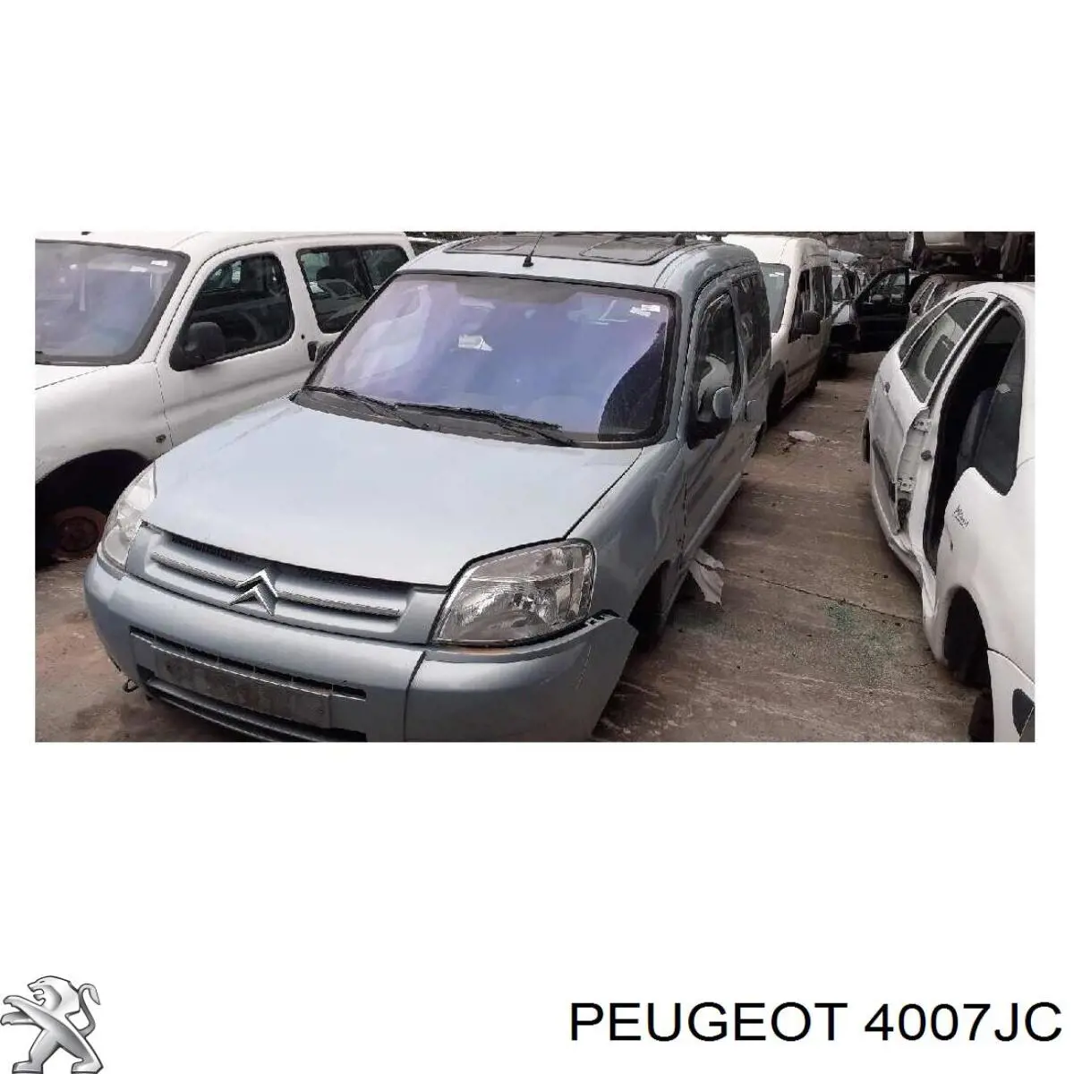 4007JC Peugeot/Citroen Насос гідропідсилювача