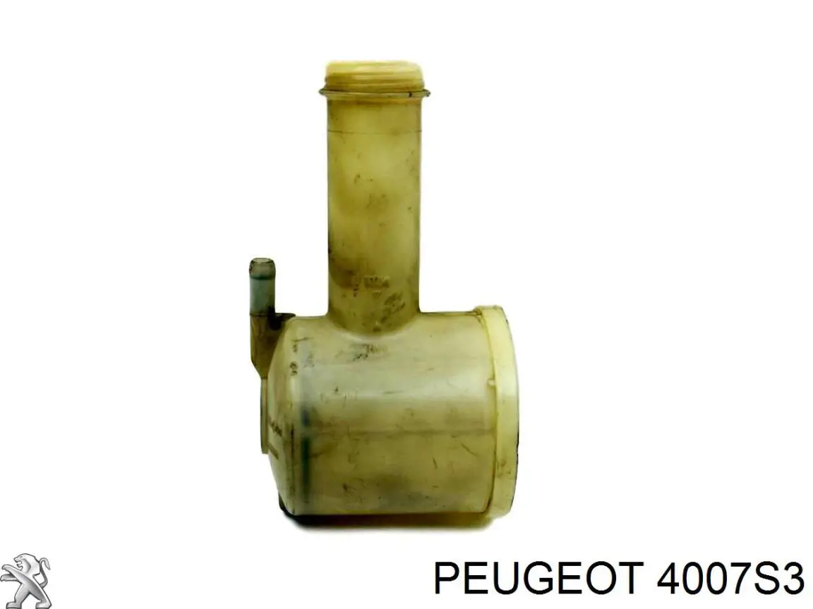 4007S3 Peugeot/Citroen насос гідропідсилювача керма (гпк)
