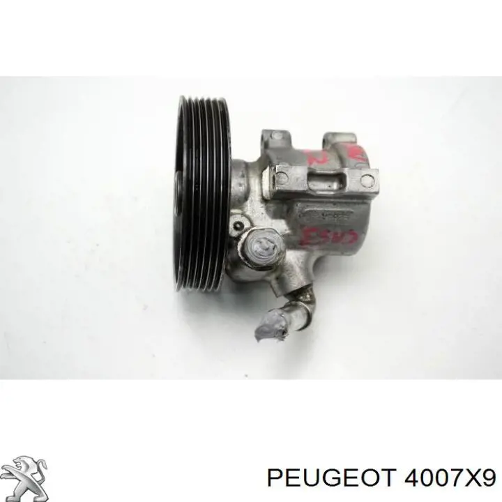 Насос ГУР 4007X9 Peugeot/Citroen