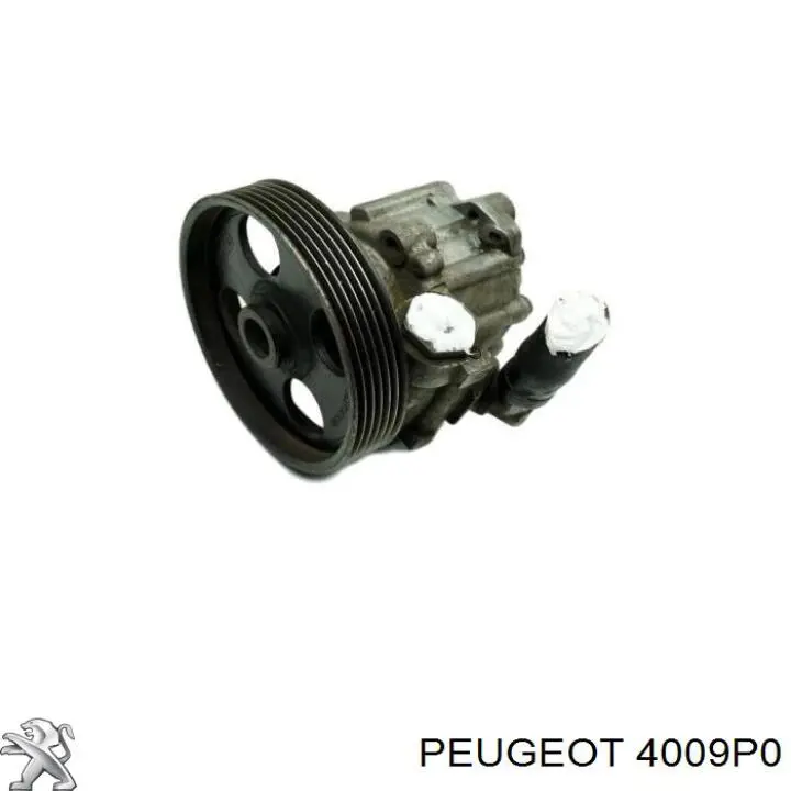 Шків лопатевого насоса гідропідсилювача керма Peugeot/Citroen 4009P0