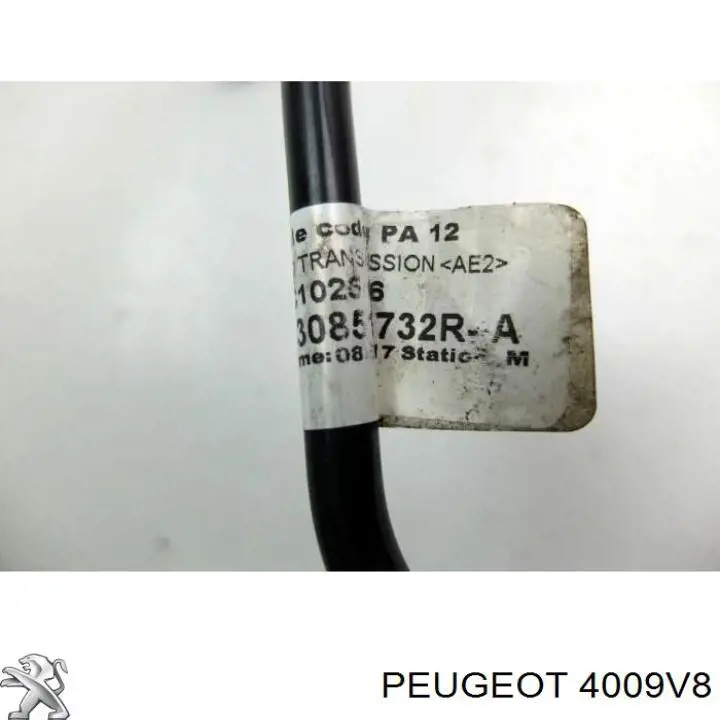4009V8 Peugeot/Citroen Бачок гідропідсилювача керма
