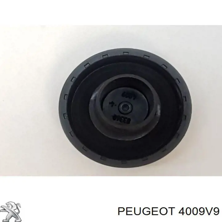Купити 4009V9 Peugeot/Citroen 