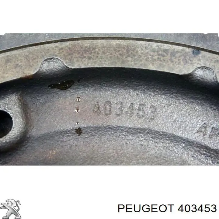  403453 Peugeot/Citroen