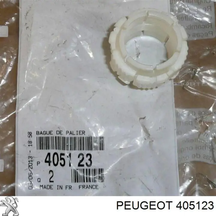 Купити 405123 Peugeot/Citroen 
