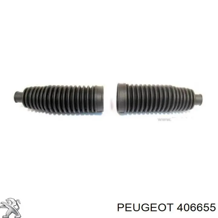 Пильник рульової рейки 406675 Peugeot/Citroen