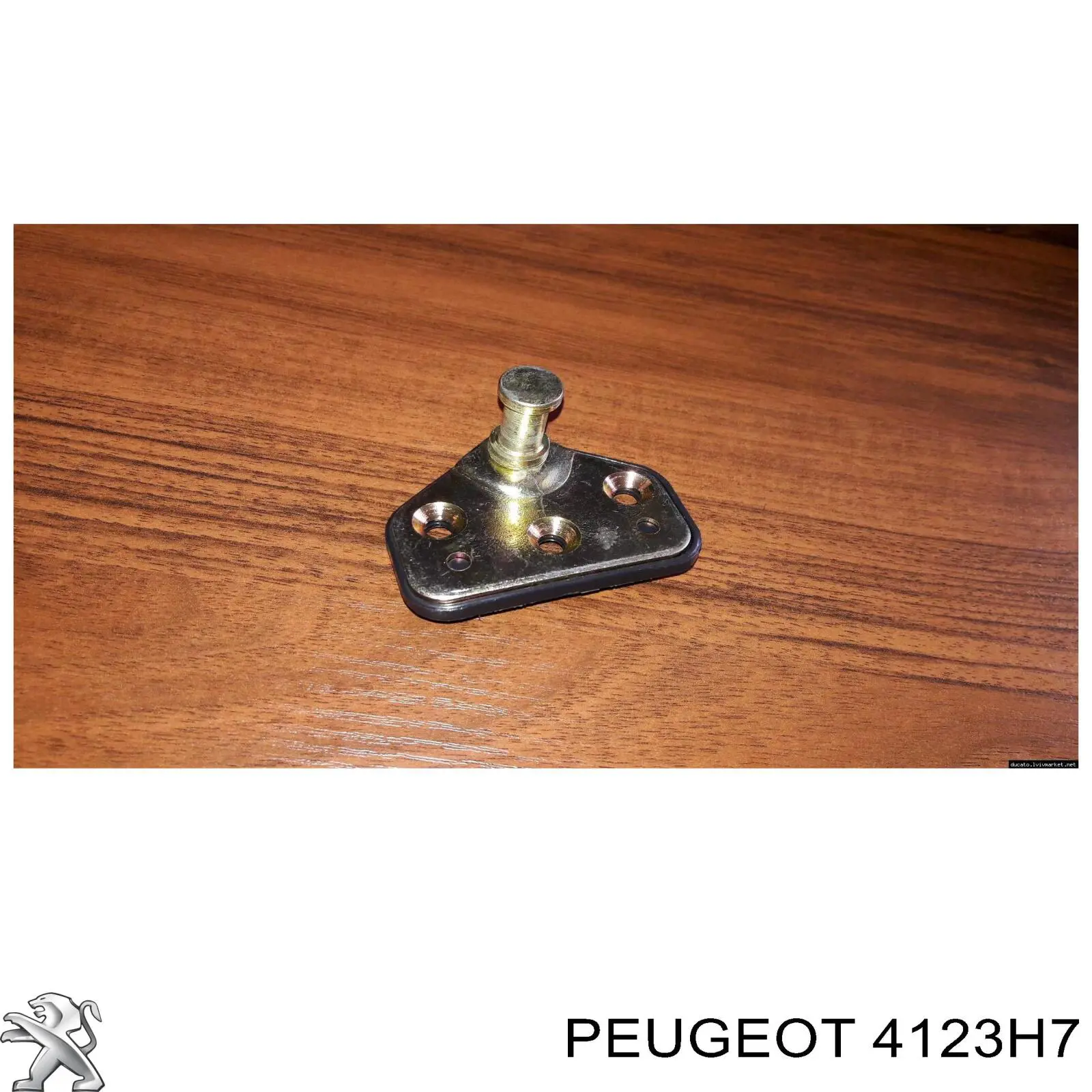Купити 4123H7 Peugeot/Citroen Рульова колонка