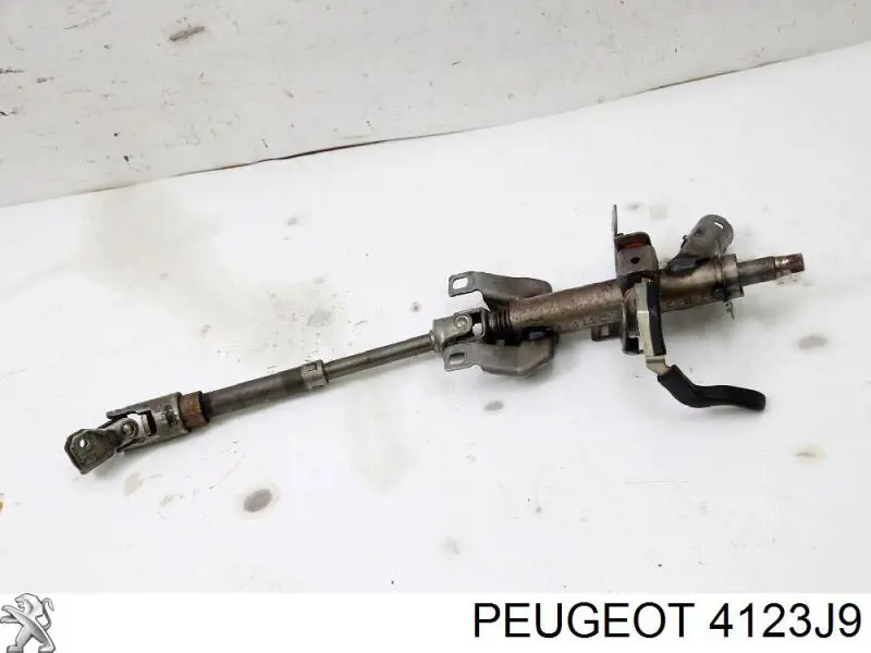4123J9 Peugeot/Citroen Колонка рульового управління