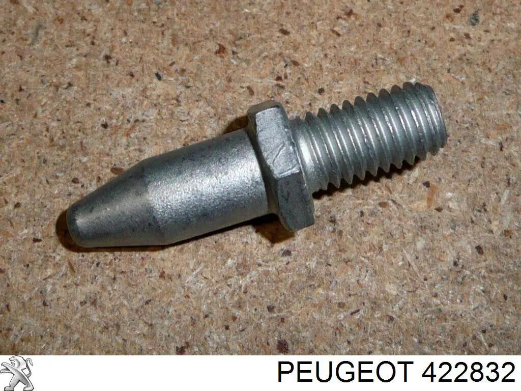 Болт гальмівного диска Peugeot Boxer (250) (Пежо Боксер)