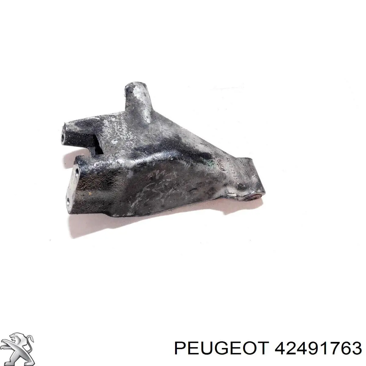 Купити POP99291COL Signeda 