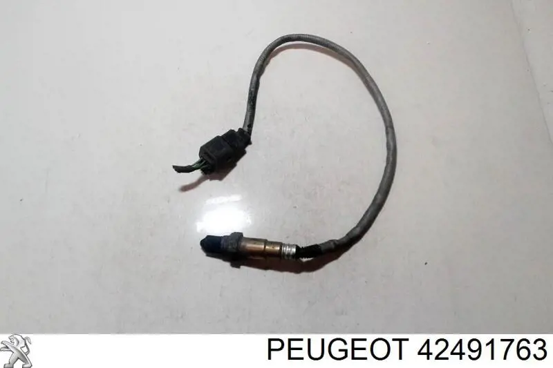  42491763 Peugeot/Citroen