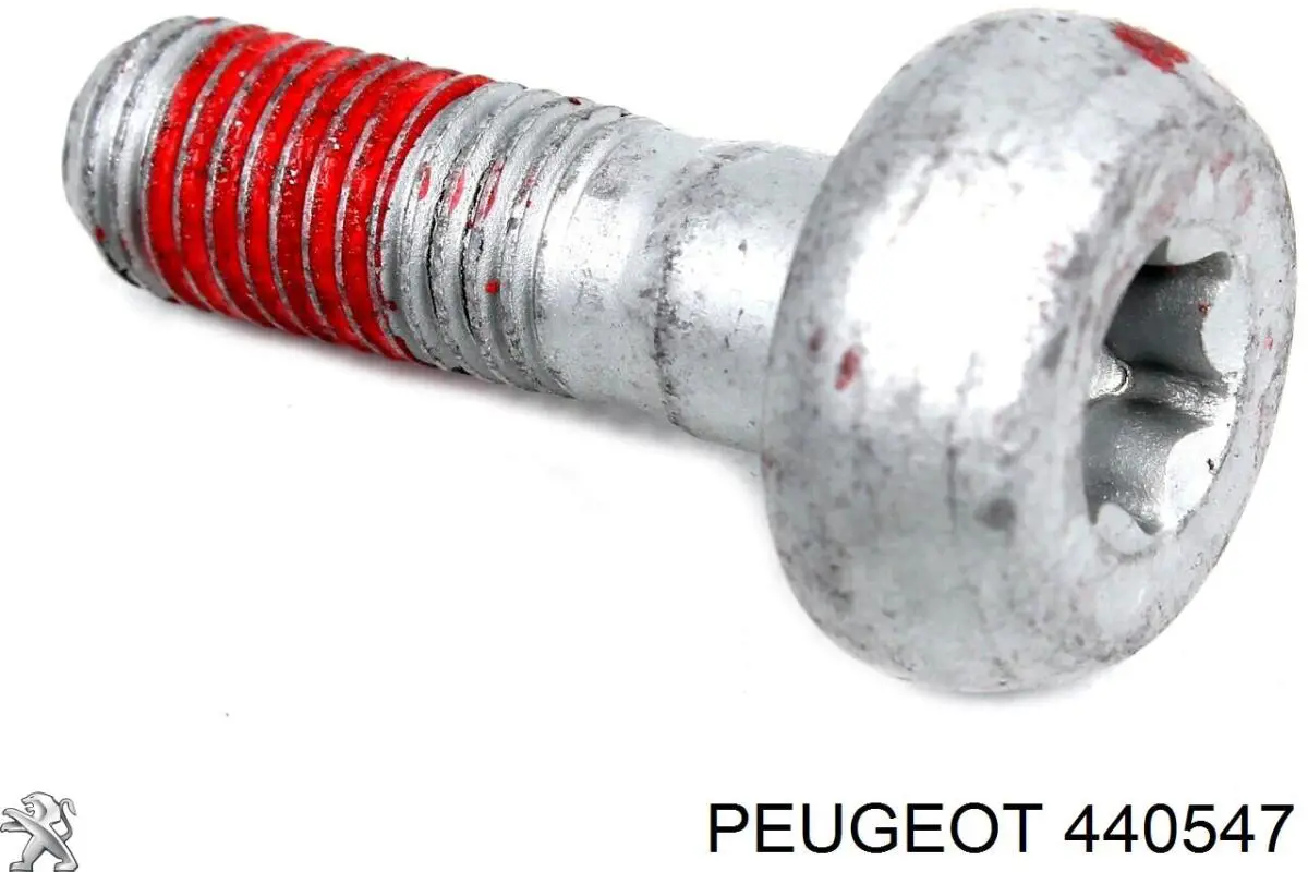 Болт гальмівного супорту Peugeot Partner (5) (Пежо Партнер)