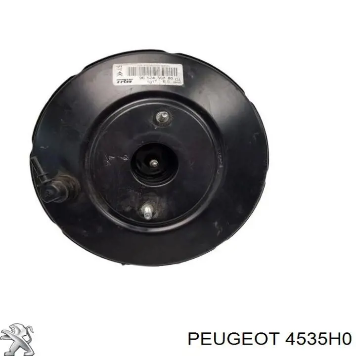 Вакуумника Peugeot/Citroen 4535H0 ціна, від 50.62 USD