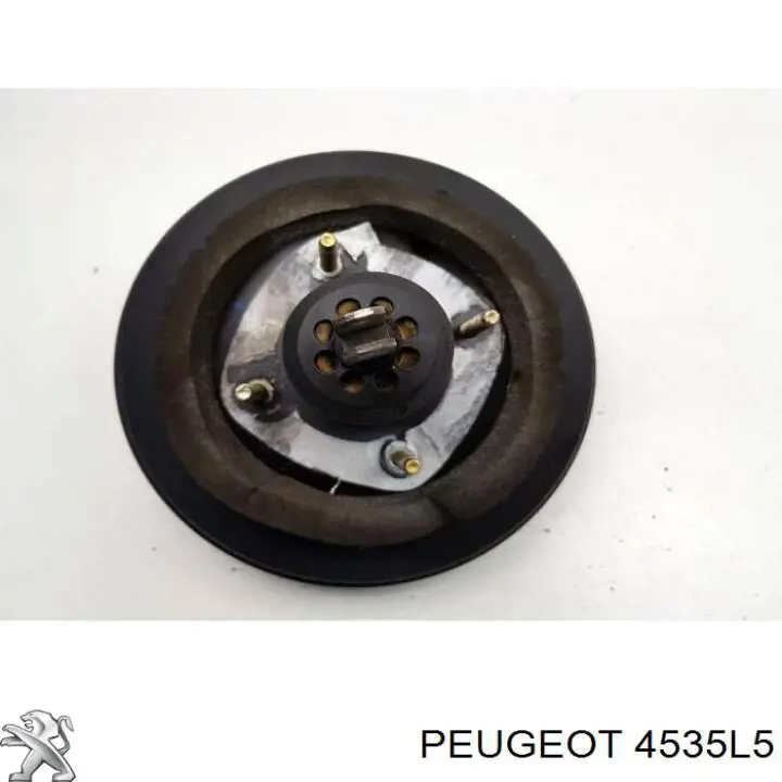 Вакуумний підсилювач гальм Peugeot/Citroen 4535L5