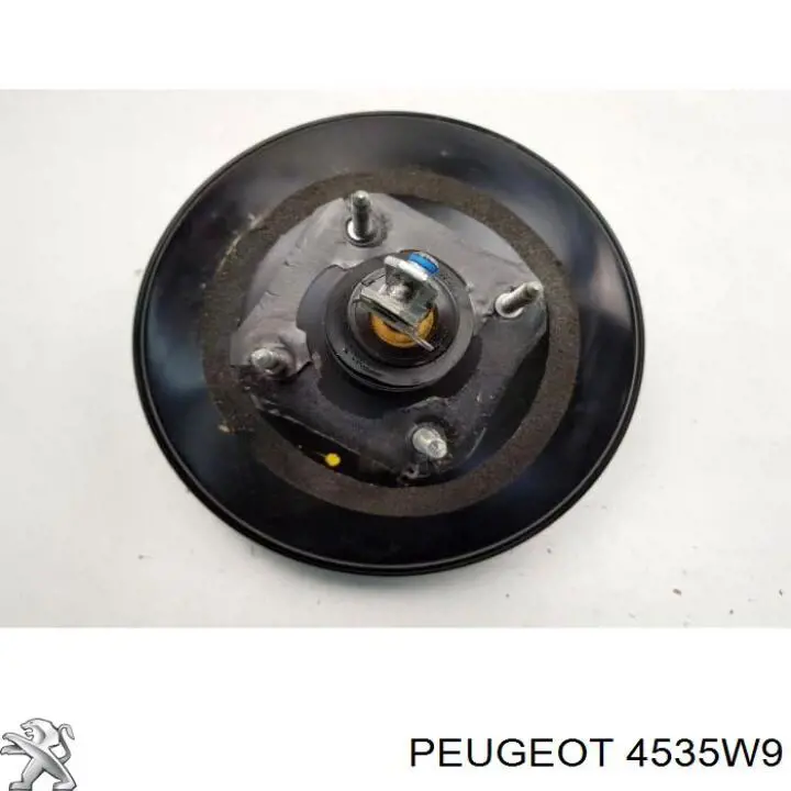 00004535W9 Peugeot/Citroen підсилювач гальм вакуумний