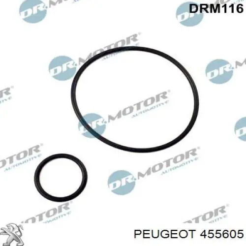 Прокладка вакуумного насосу Peugeot/Citroen 455605 ціна, від 3.37 USD