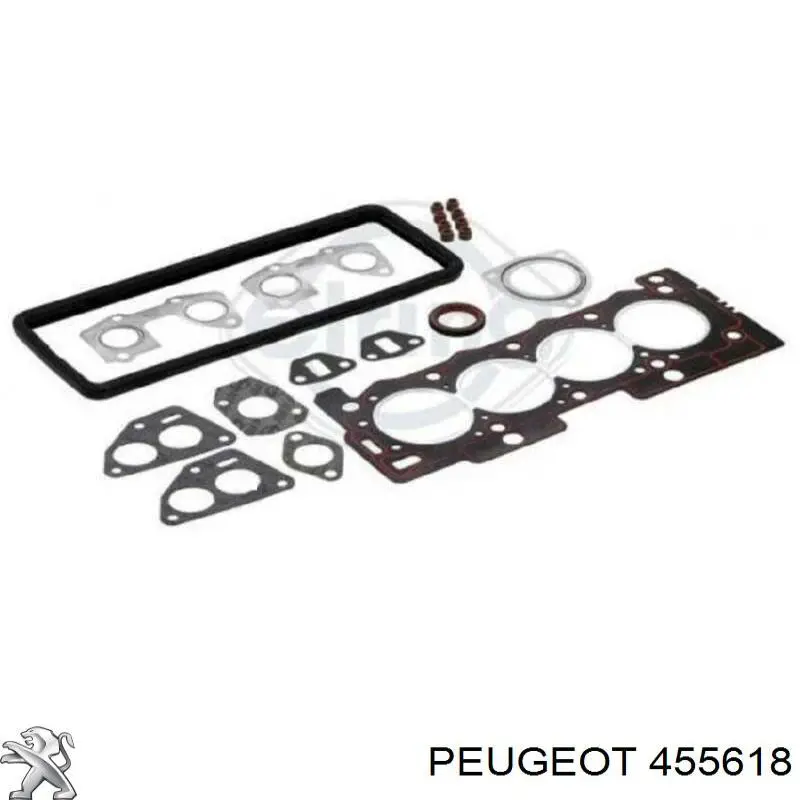 Прокладка вакуумного насосу 455618 Peugeot/Citroen