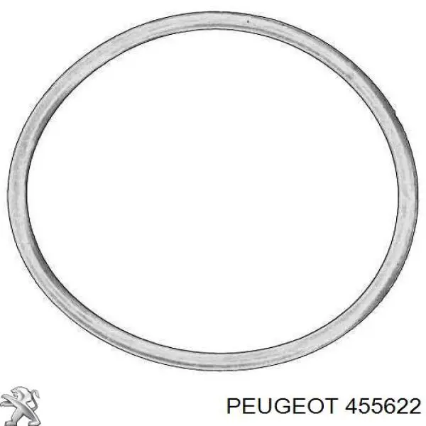 Прокладка вакуумного насосу 455622 Peugeot/Citroen