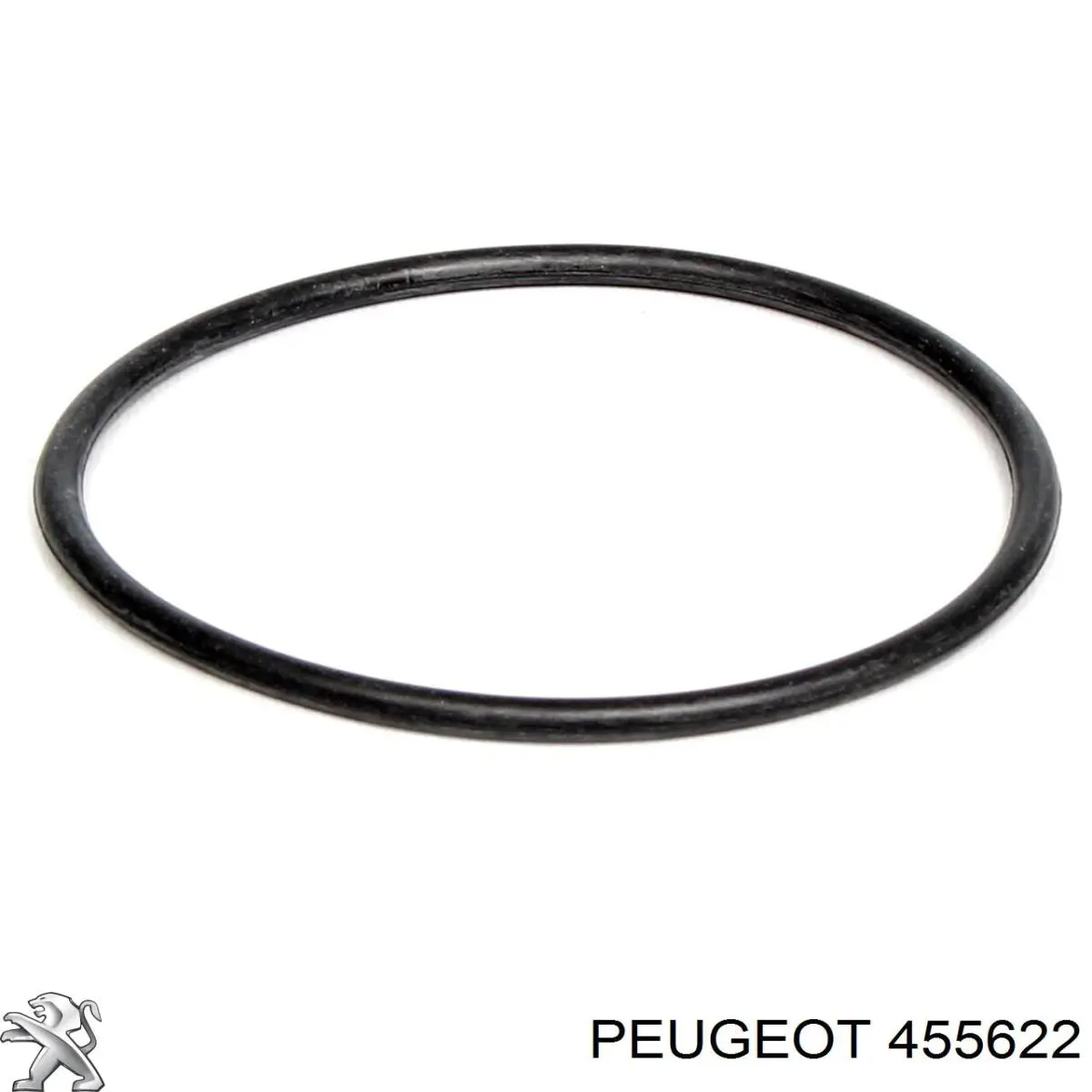 Прокладка вакуумного насосу Peugeot 207 (WA, WC) (Пежо 207)
