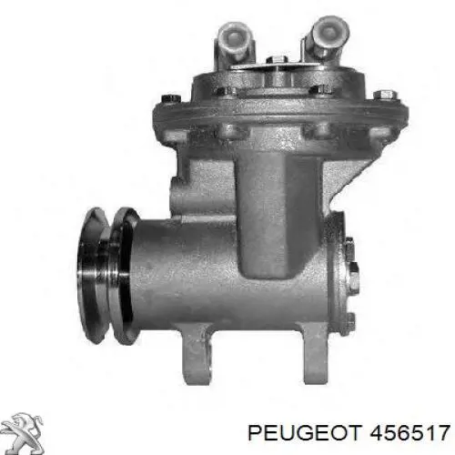 Купити 456517 Peugeot/Citroen Вакуумний насос
