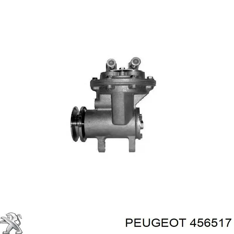 Вакуумний насос 456517 Peugeot/Citroen