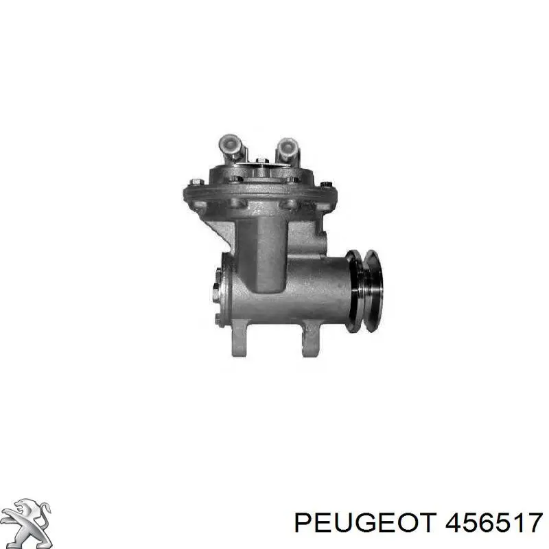 456517 Peugeot/Citroen Насос вакуумний