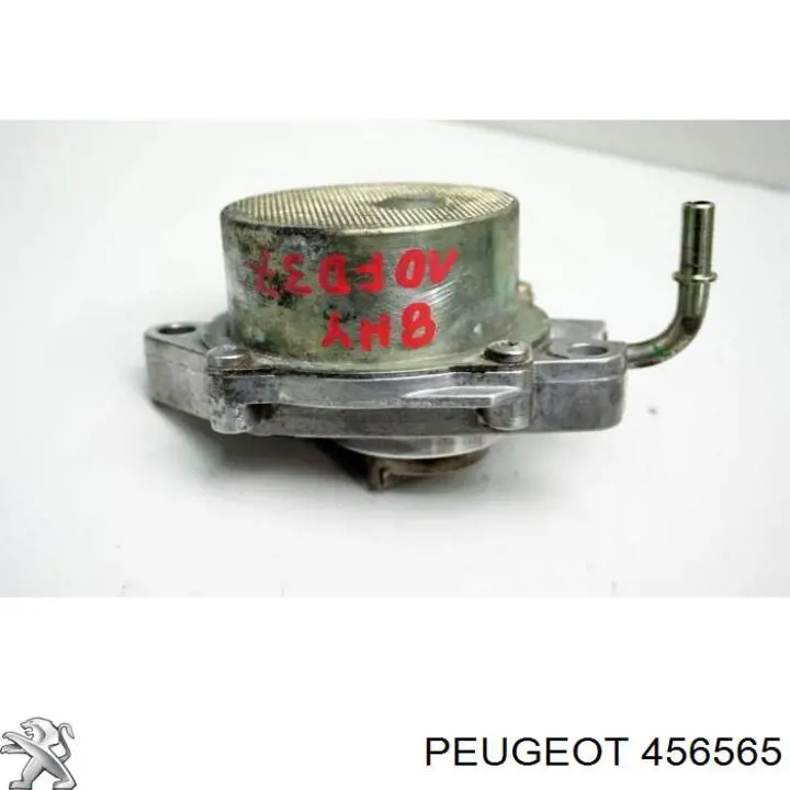 Вакуумний насос 456565 Peugeot/Citroen