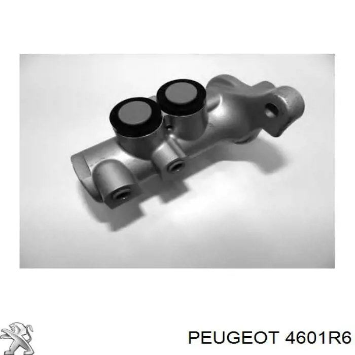 Циліндр головний гальма (Гідротормоз) Peugeot/Citroen 4601R6 ціна, від 69.70 USD