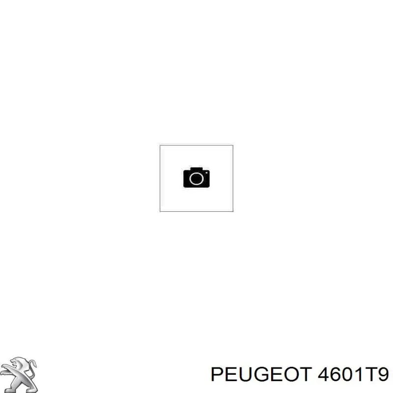 Купити 4601T9 Peugeot/Citroen Головний гальмівний циліндр