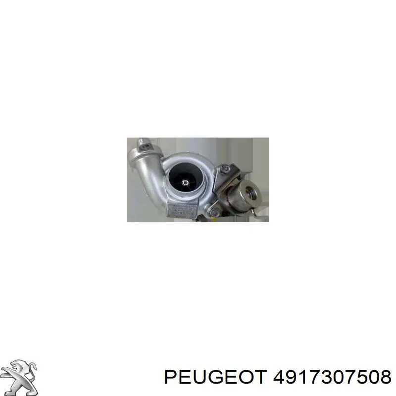 4917307508 Peugeot/Citroen турбіна