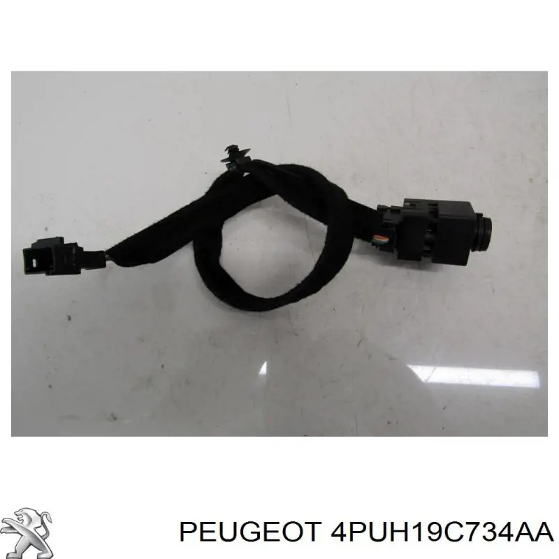 Купити 4PUH19C734AA Peugeot/Citroen 