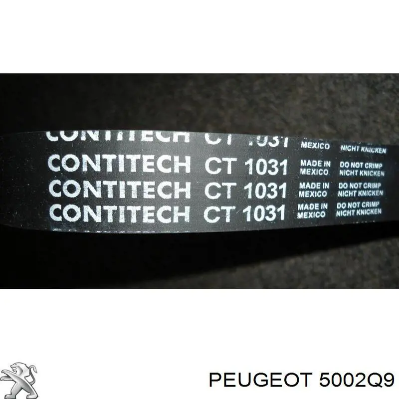 Купити 5002Q9 Peugeot/Citroen Гвинтова пружина підвіска